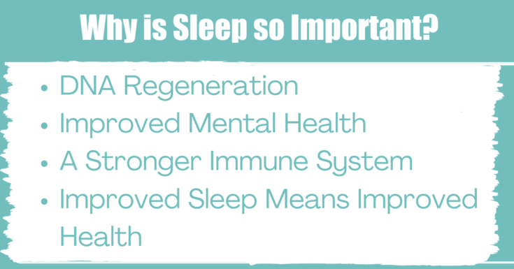 How Does Sleep Work And What Happens When You Sleep?