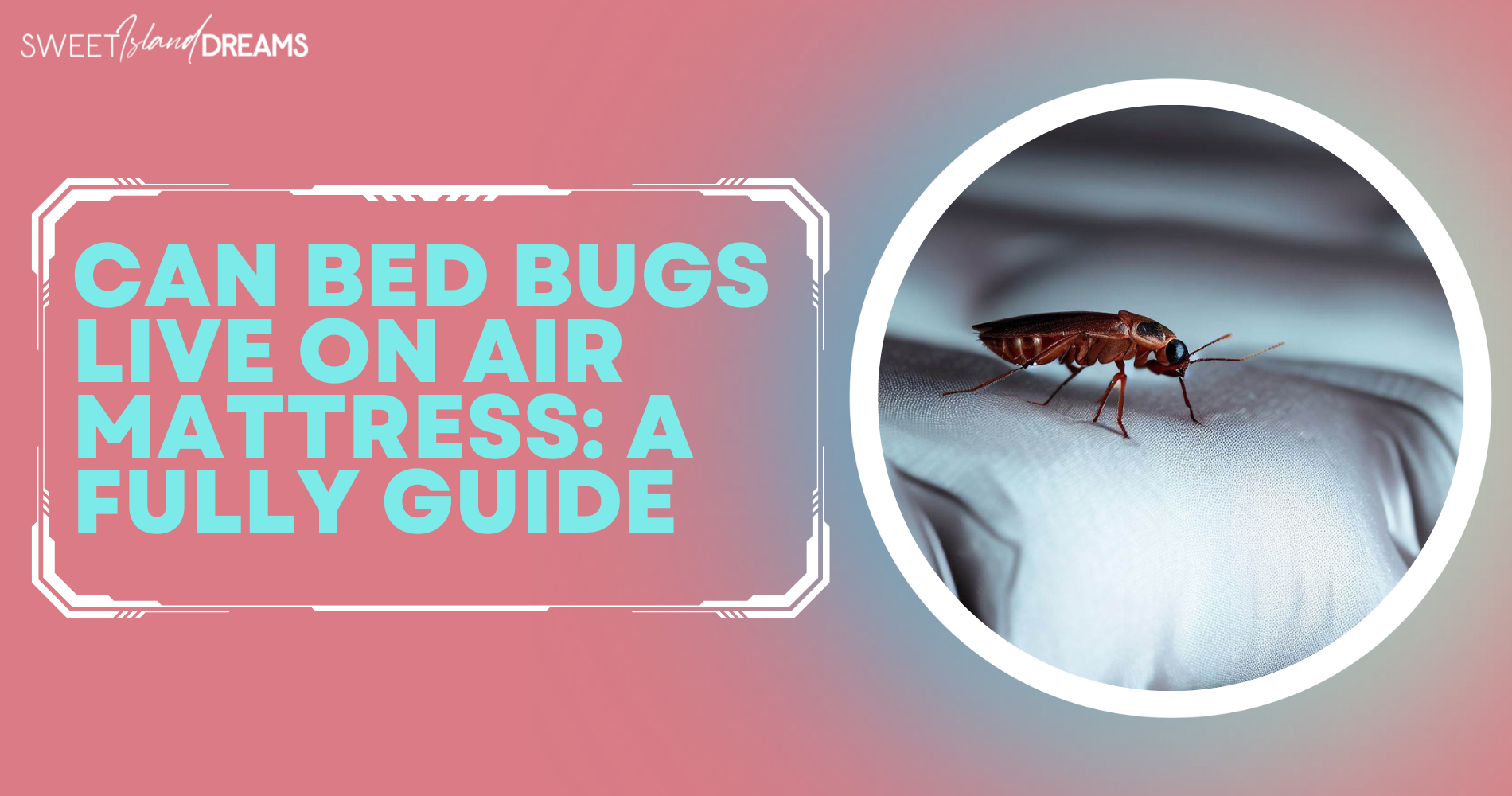 Can Bed Bugs Live on Air Mattress A Fully Guide